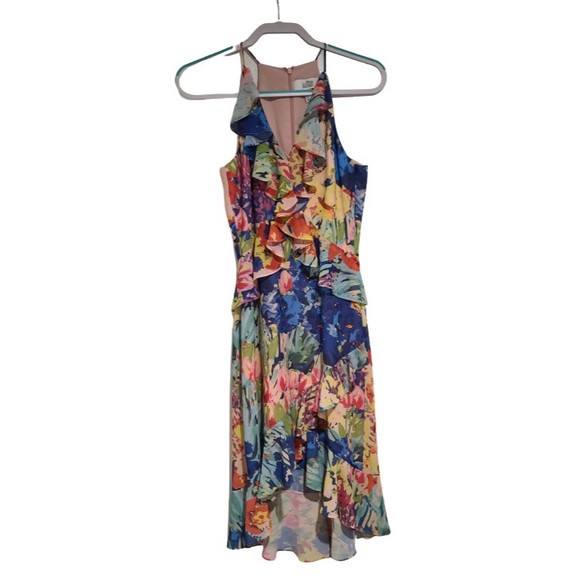 Badgley Mischka Belle Womens Ruffled Sleeveless Dress Multicolor Floral Size 2 - Picture 2 of 8
